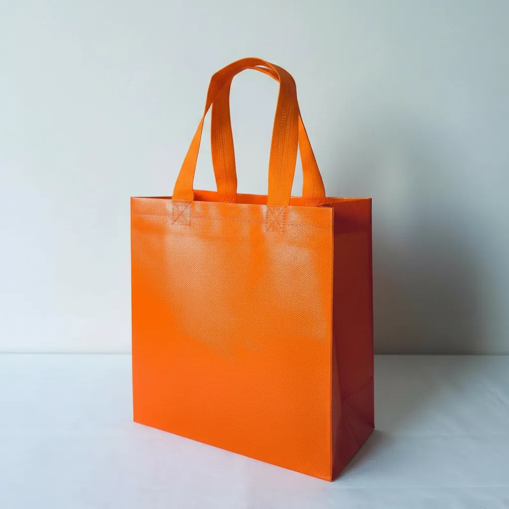Bolsa Tnt Gruesa Pack 6 Unidades Con Asa 23x22x11cm